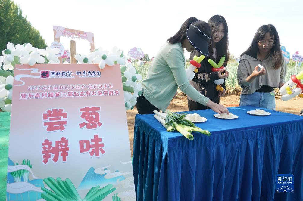 网上现金捕